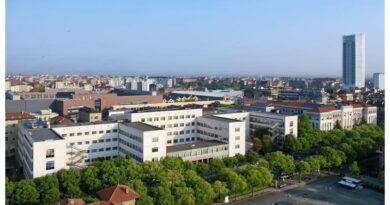 Una piccola vite nel Politecnico di Torino