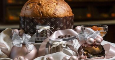 Arriva da Pinerolo il primo panettone con farina di grillo